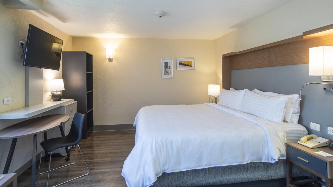 Holiday Inn Mexico Coyoacan Eksteriør bilde